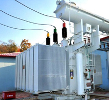 电力工程建设服务（合作业务）